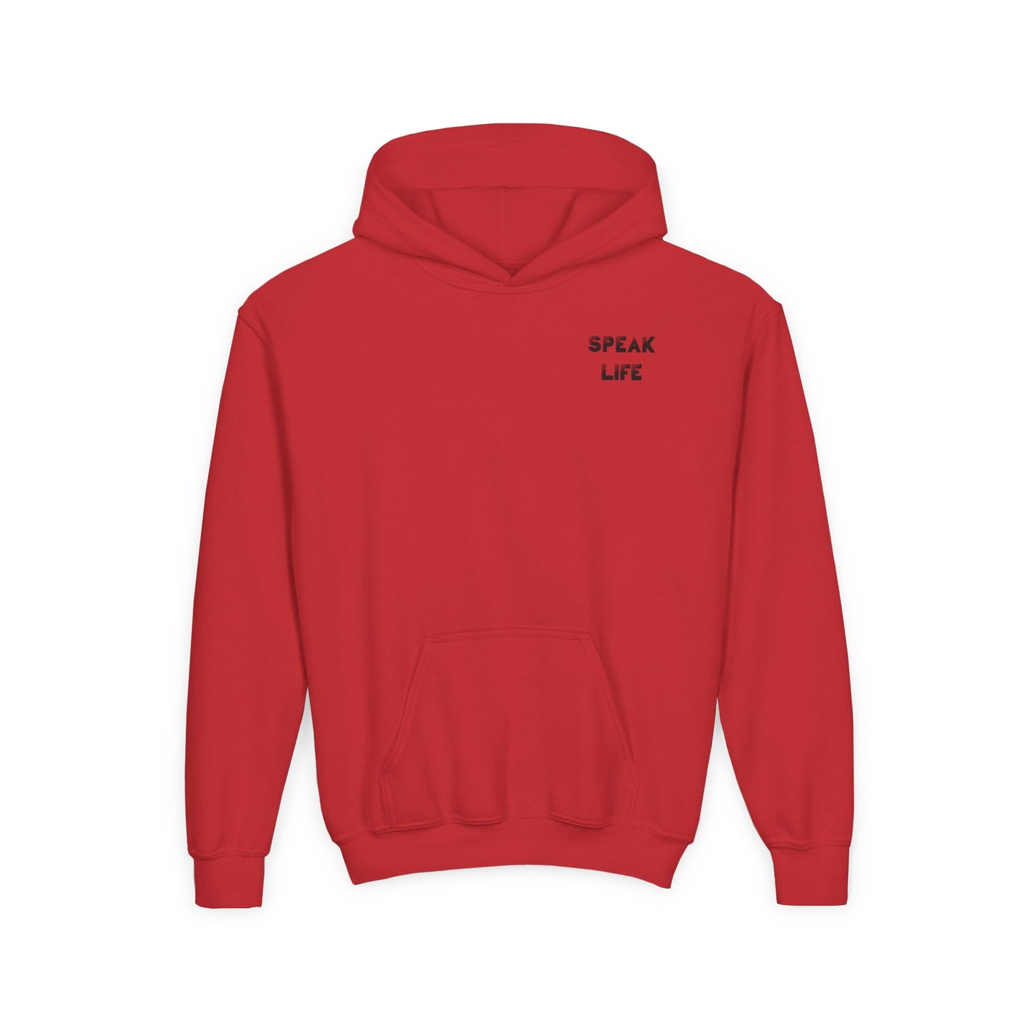 Inspiring Youth Hooded Sweatshirt - Speak Life & Voice of Hope