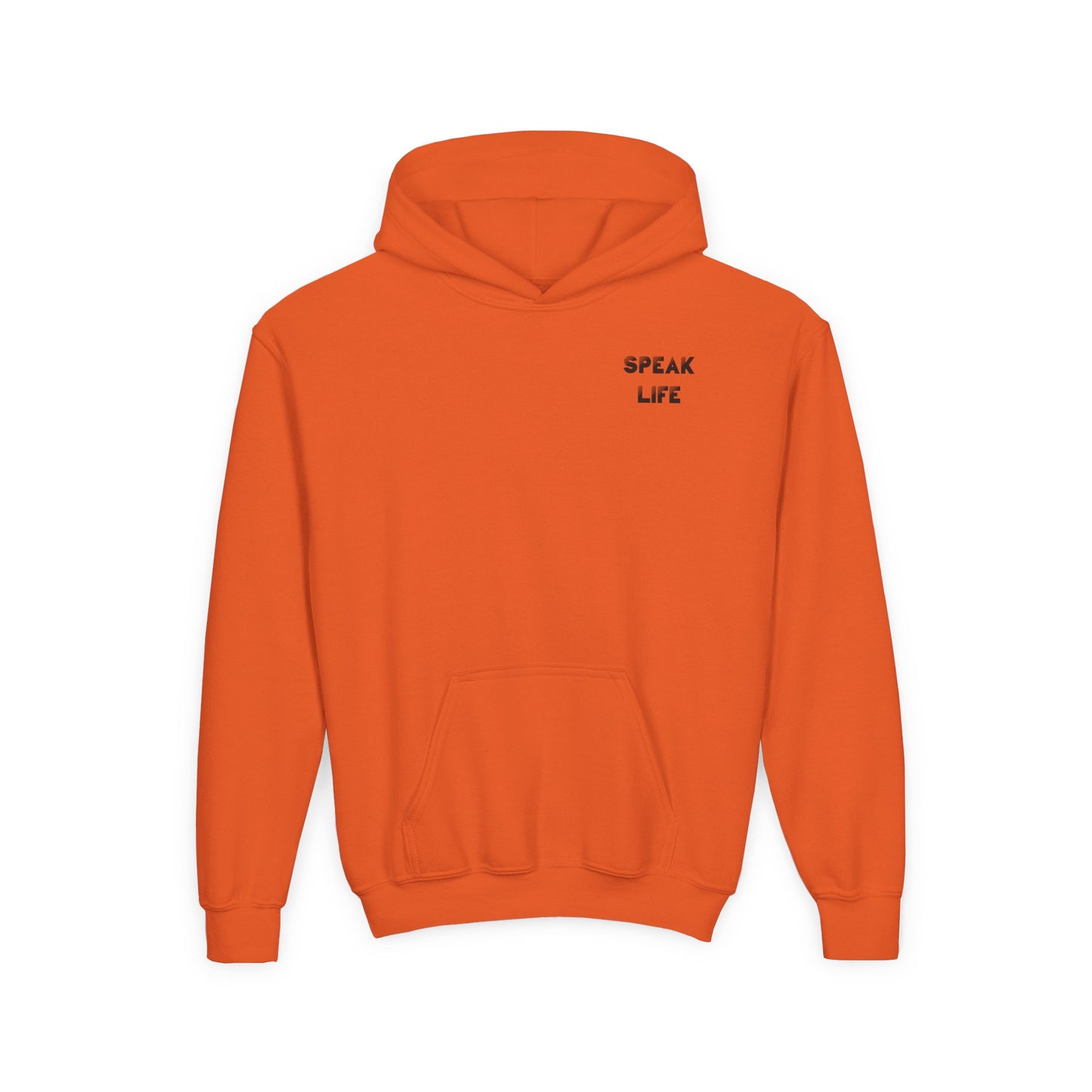 Inspiring Youth Hooded Sweatshirt - Speak Life & Voice of Hope